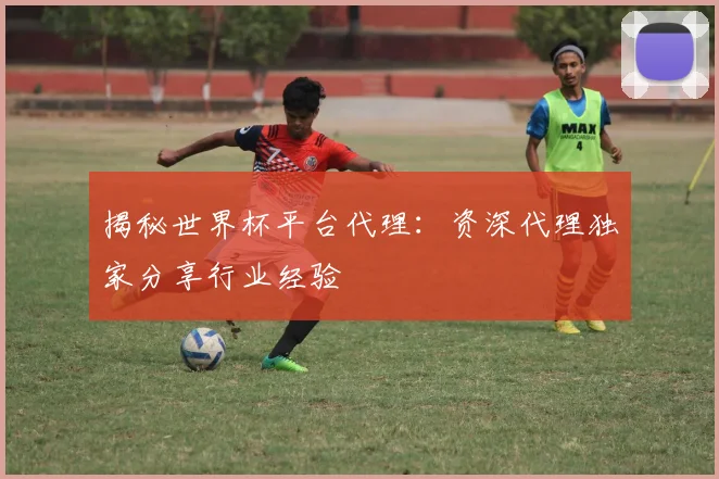 揭秘世界杯平台代理：资深代理独家分享行业经验