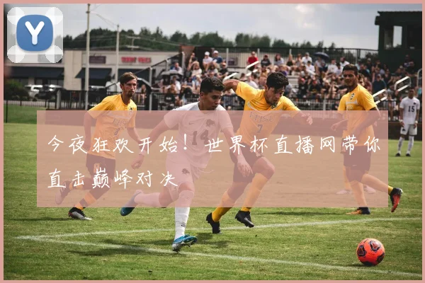 今夜狂欢开始！世界杯直播网带你直击巅峰对决