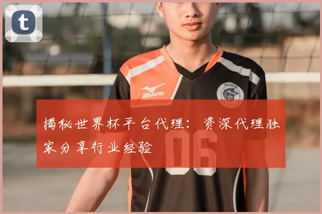 揭秘世界杯平台代理：资深代理独家分享行业经验