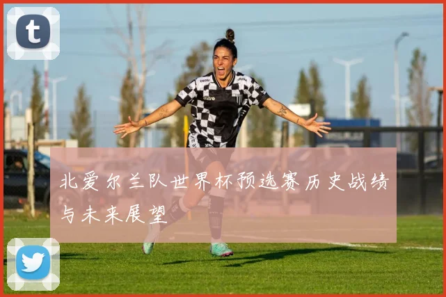 北爱尔兰队世界杯预选赛历史战绩与未来展望