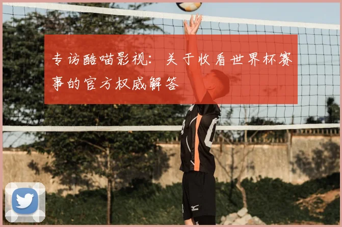 专访酷喵影视：关于收看世界杯赛事的官方权威解答