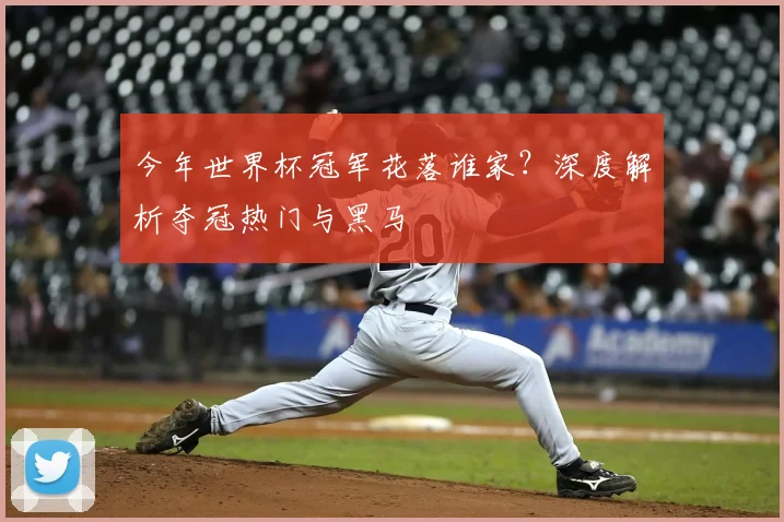 今年世界杯冠军花落谁家？深度解析夺冠热门与黑马
