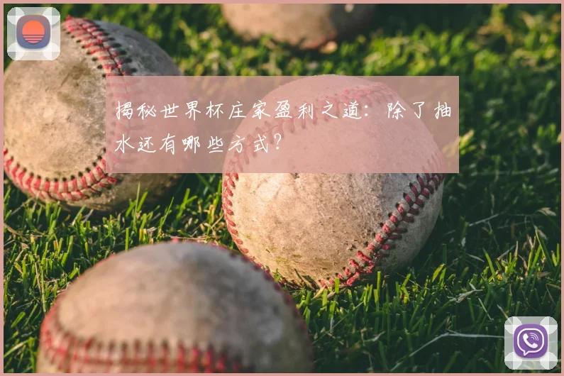 揭秘世界杯庄家盈利之道：除了抽水还有哪些方式？