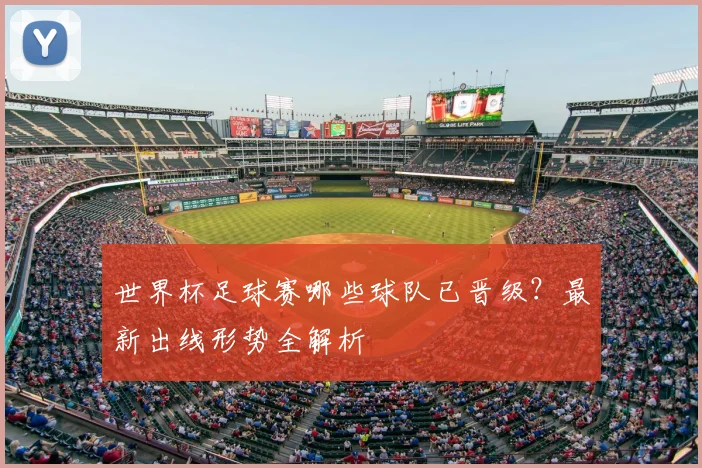 世界杯足球赛哪些球队已晋级？最新出线形势全解析