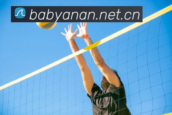 多媒体互动体验